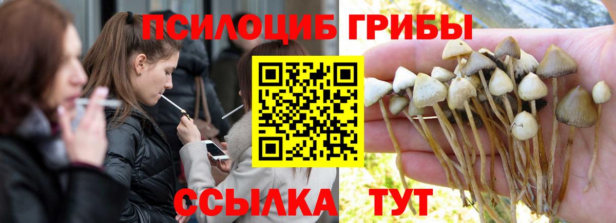Среднеуральск  Псилоцибиновые грибы Magic Shrooms  Вход с VPN 